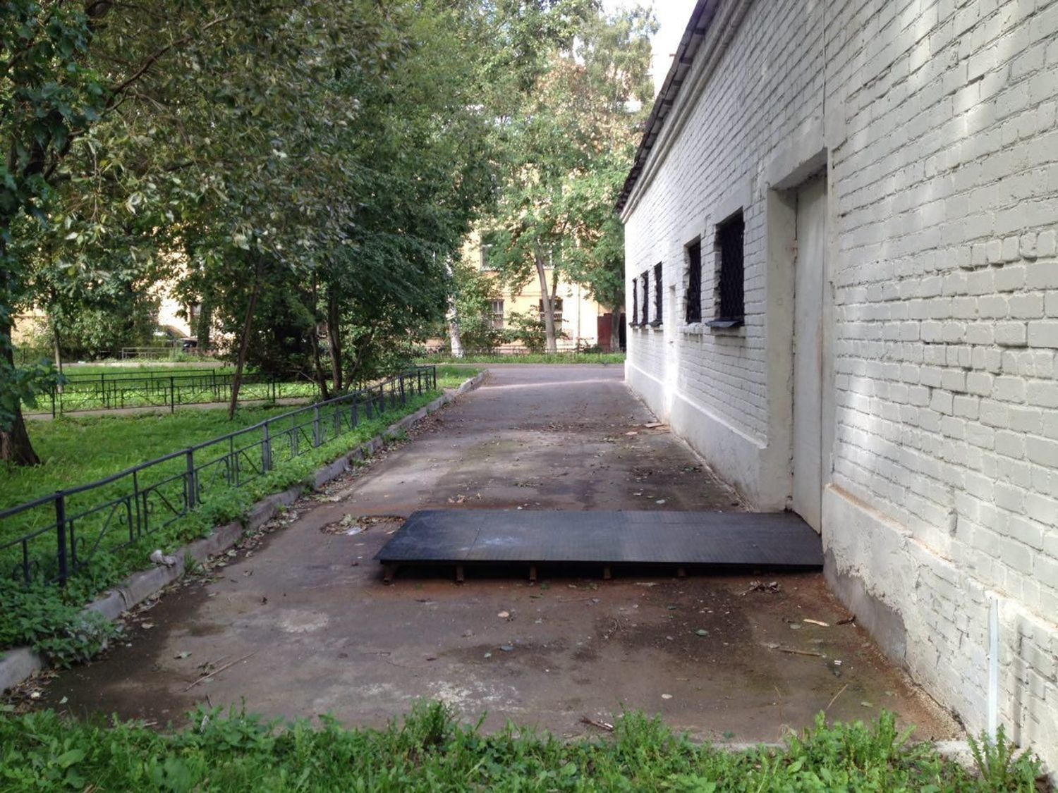 Сибирский можжевельник (siberianjuniper) на Ярмарке Мастеров - ручная ...