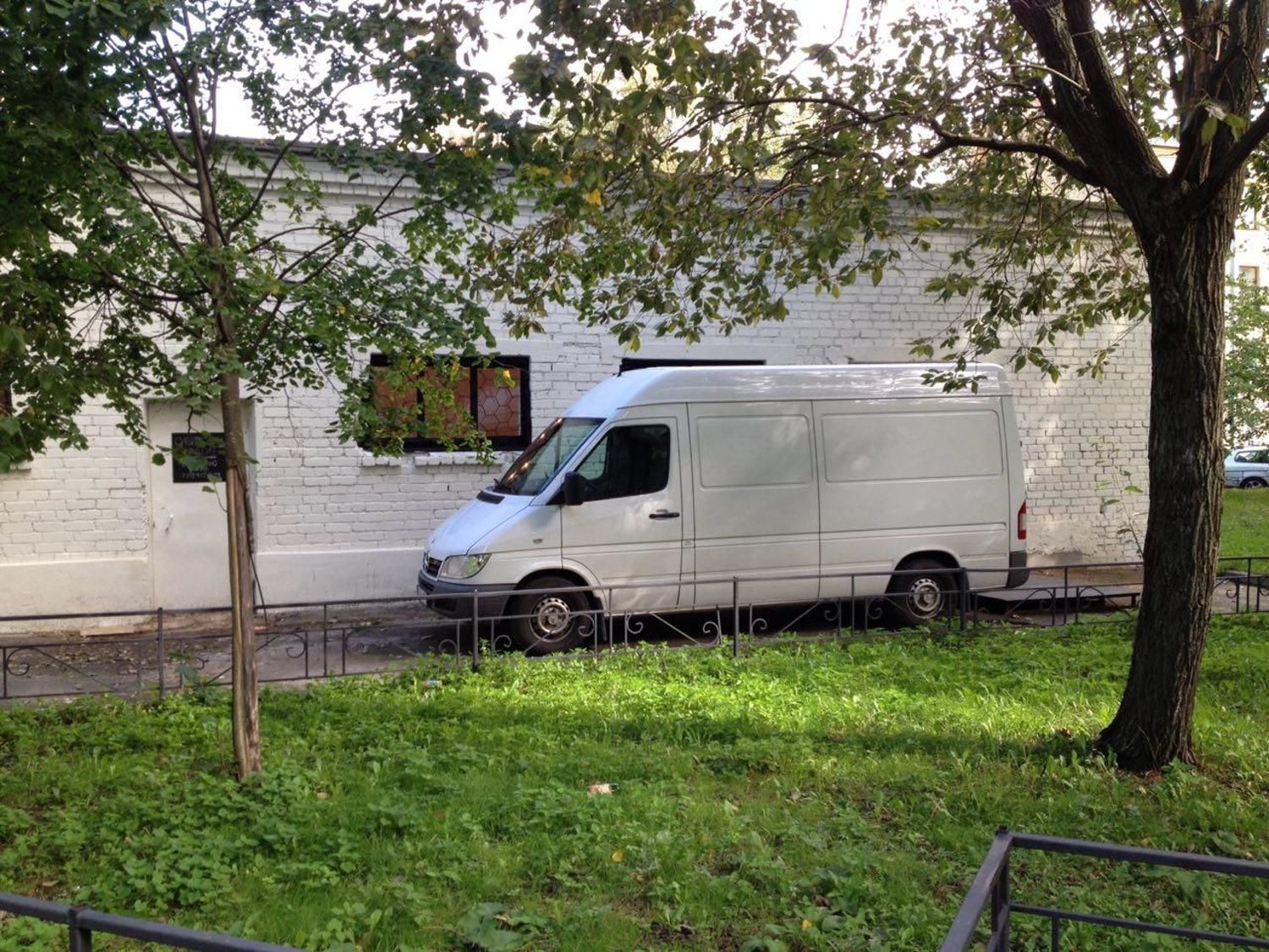 Сибирский можжевельник (siberianjuniper) на Ярмарке Мастеров - ручная ...