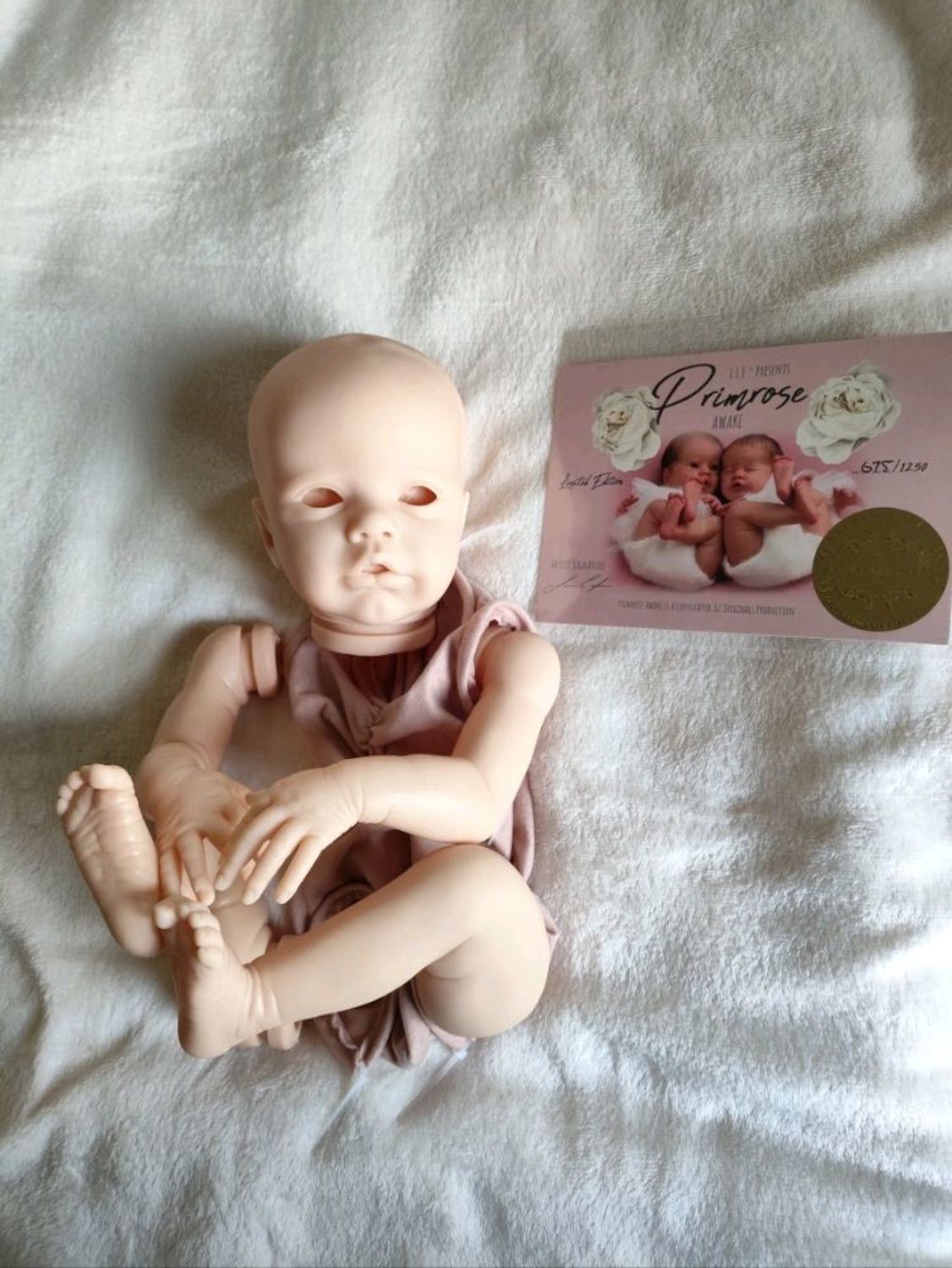 Фото №2 к отзыву покупателя Мастерская у Светланы о товаре Primrose Awake and Asleep by Laura Lee Eagles