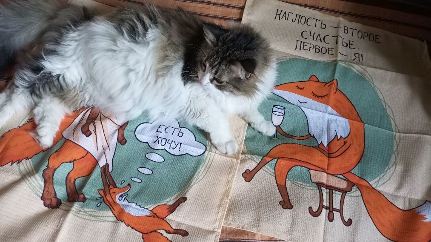 Фото №1 к отзыву покупателя Елена о товаре Кухонное полотенце "Лиса-колбаса"