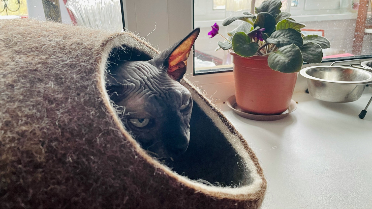 Photo №3 к отзыву покупателя Arina о товаре Валяный домик-норка. "Кофейный"