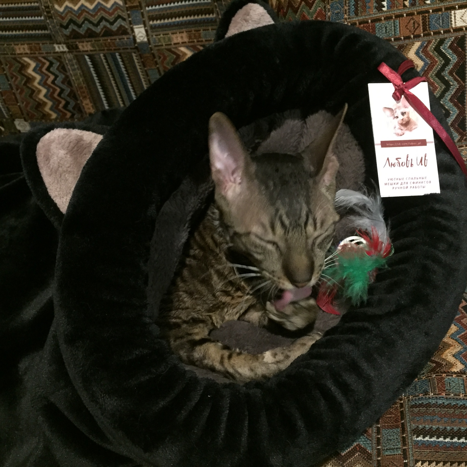 Фото №1 к отзыву покупателя Лариса о товаре Лежанка - спальный мешок для кошки "Котик" черный велсофт
