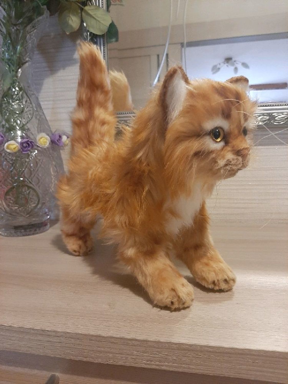 Фото №2 к отзыву покупателя Алла о товаре Игрушки: котенок Солнышко.