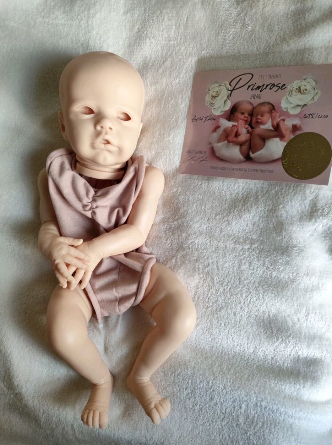 Фото №1 к отзыву покупателя Мастерская у Светланы о товаре Primrose Awake and Asleep by Laura Lee Eagles