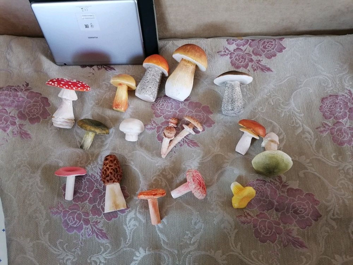 Фото №1 к отзыву покупателя Александра о товаре Развивающий набор муляжей грибов. 15 видов.