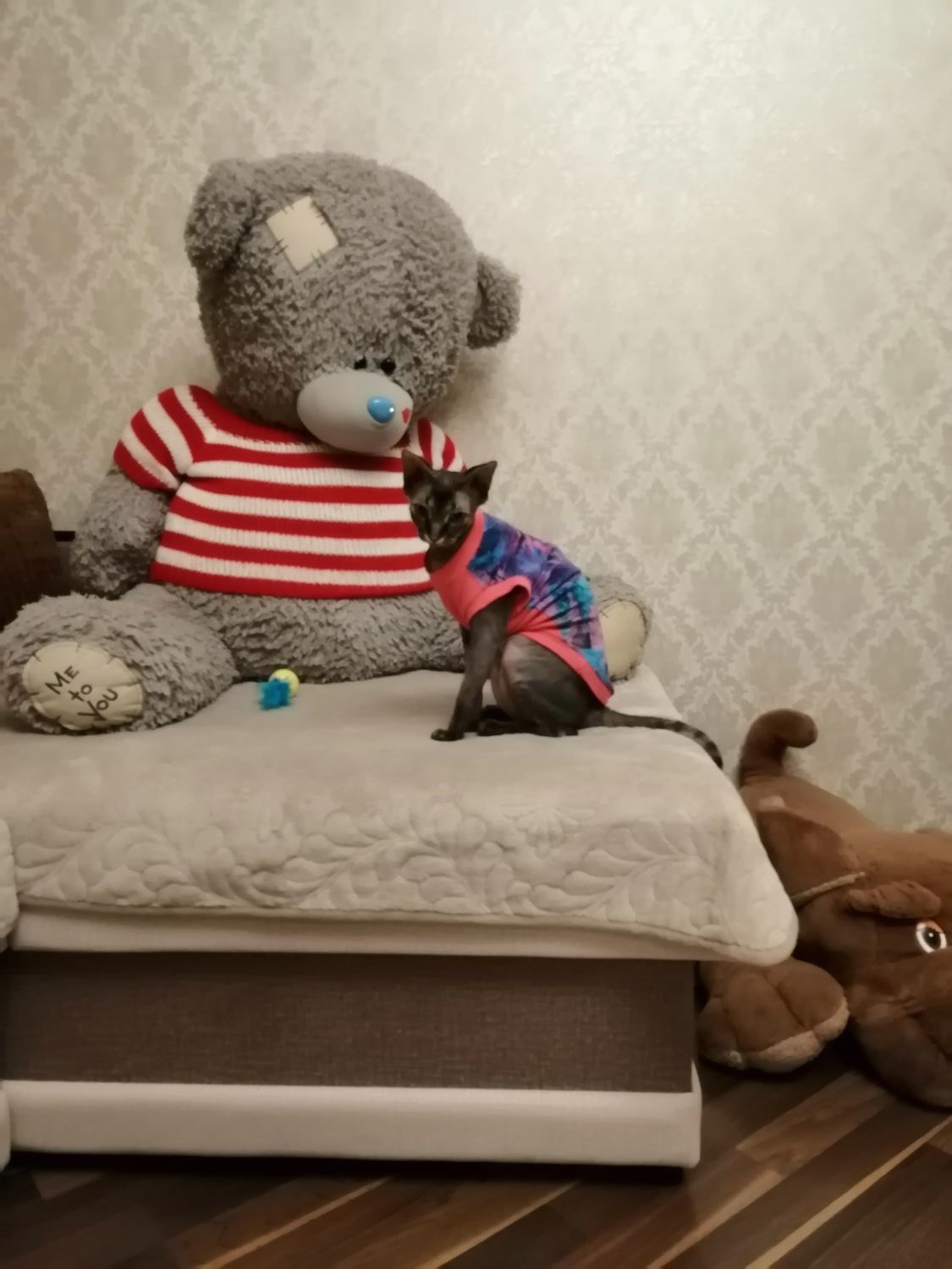Фото №2 к отзыву покупателя Гудзь Надежда о товаре Одежда для кошек майка  "Тропиканка"