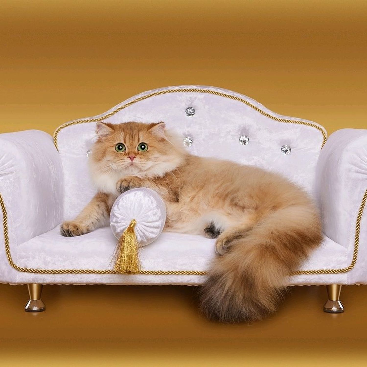 Девочка с котенком на диване