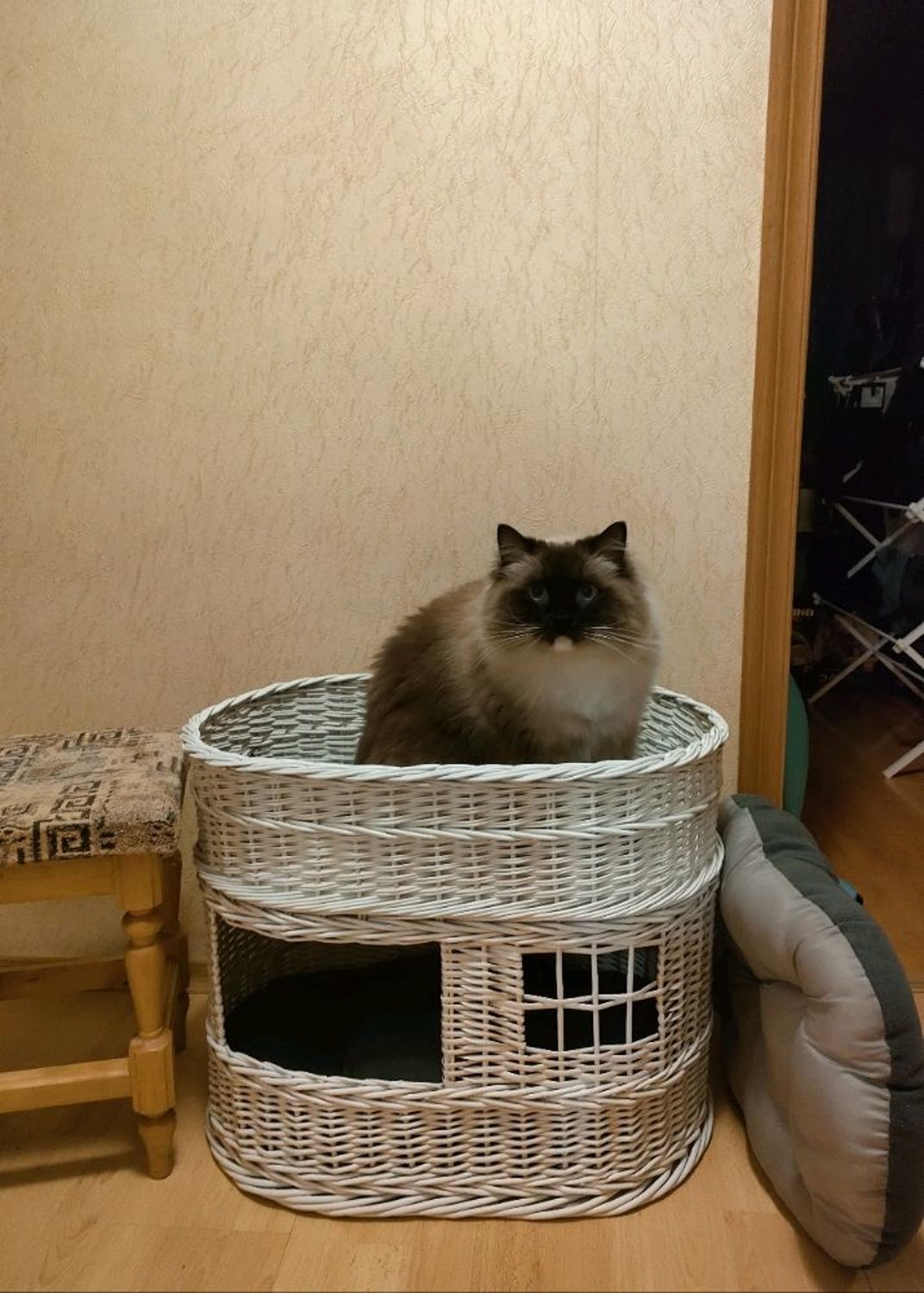 Photo №1 к отзыву покупателя Svetlana о товаре Домик плетёный с окошком