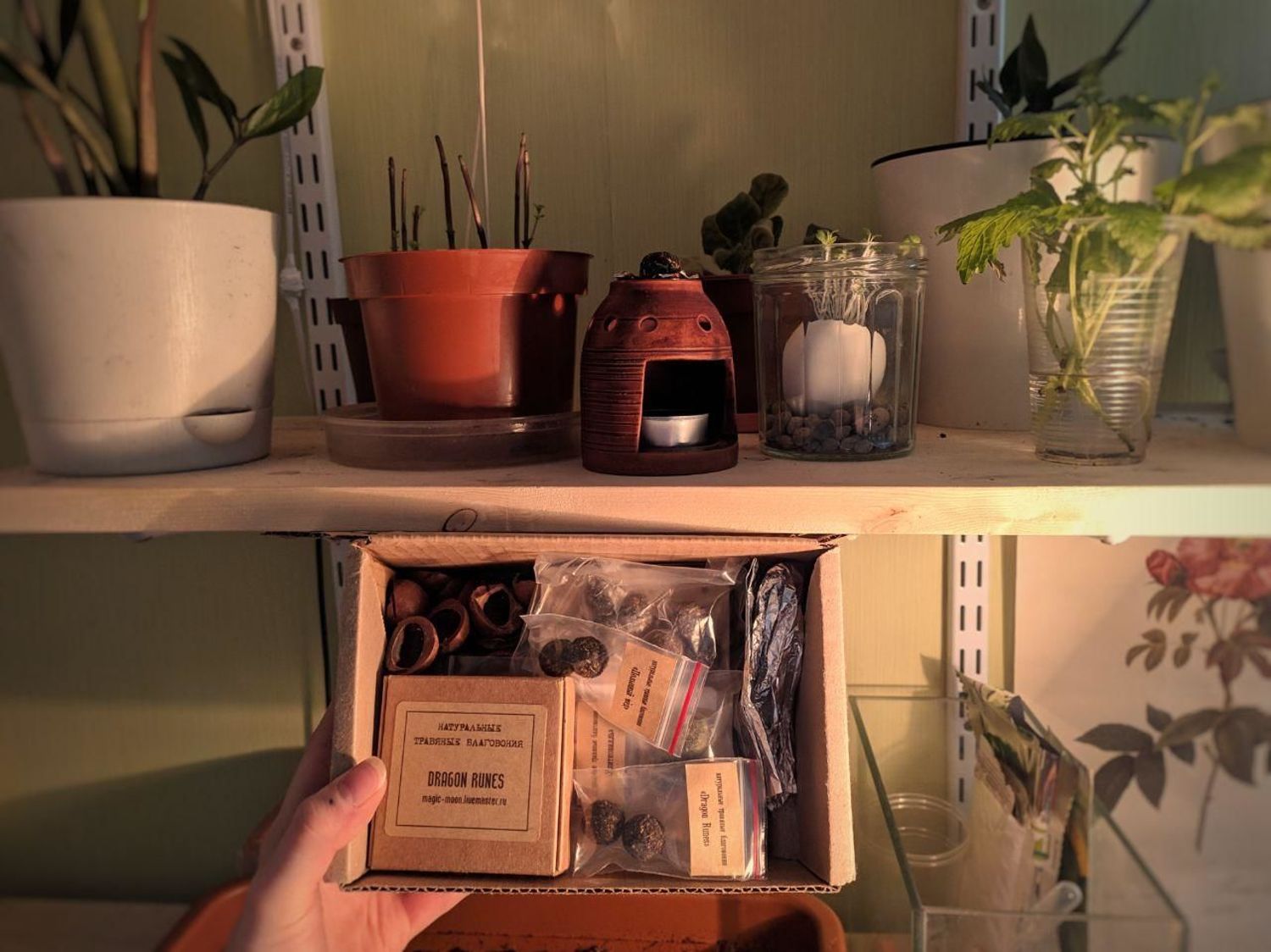 Фото №1 к отзыву покупателя Софья о товаре Herbal lamp. Керамическая арома-лампа ручной работы и еще 2 товара