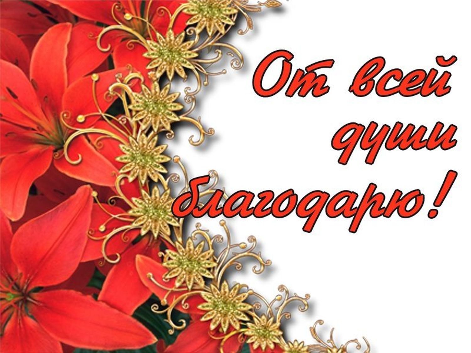 Букет цветов, открытка благодарю от всей души мужчине