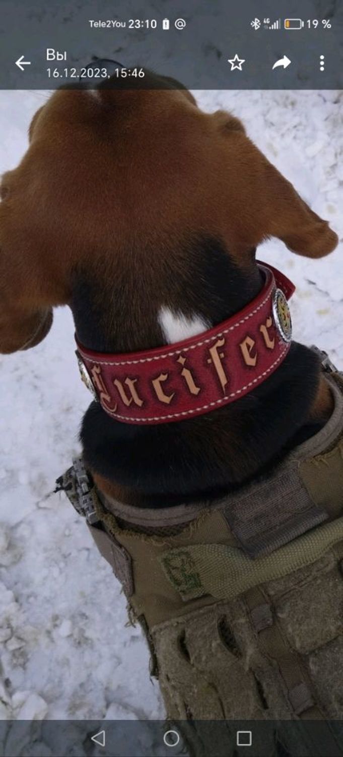 Фото №4 к отзыву покупателя Светлана о товаре Ошейник для собаки натуральная кожа, именной ошейник, кожаный ошейник