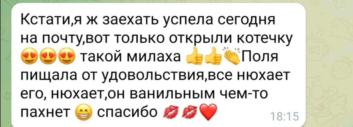 Photo №1 к отзыву покупателя Zhanna Popova о товаре Кофейный котик