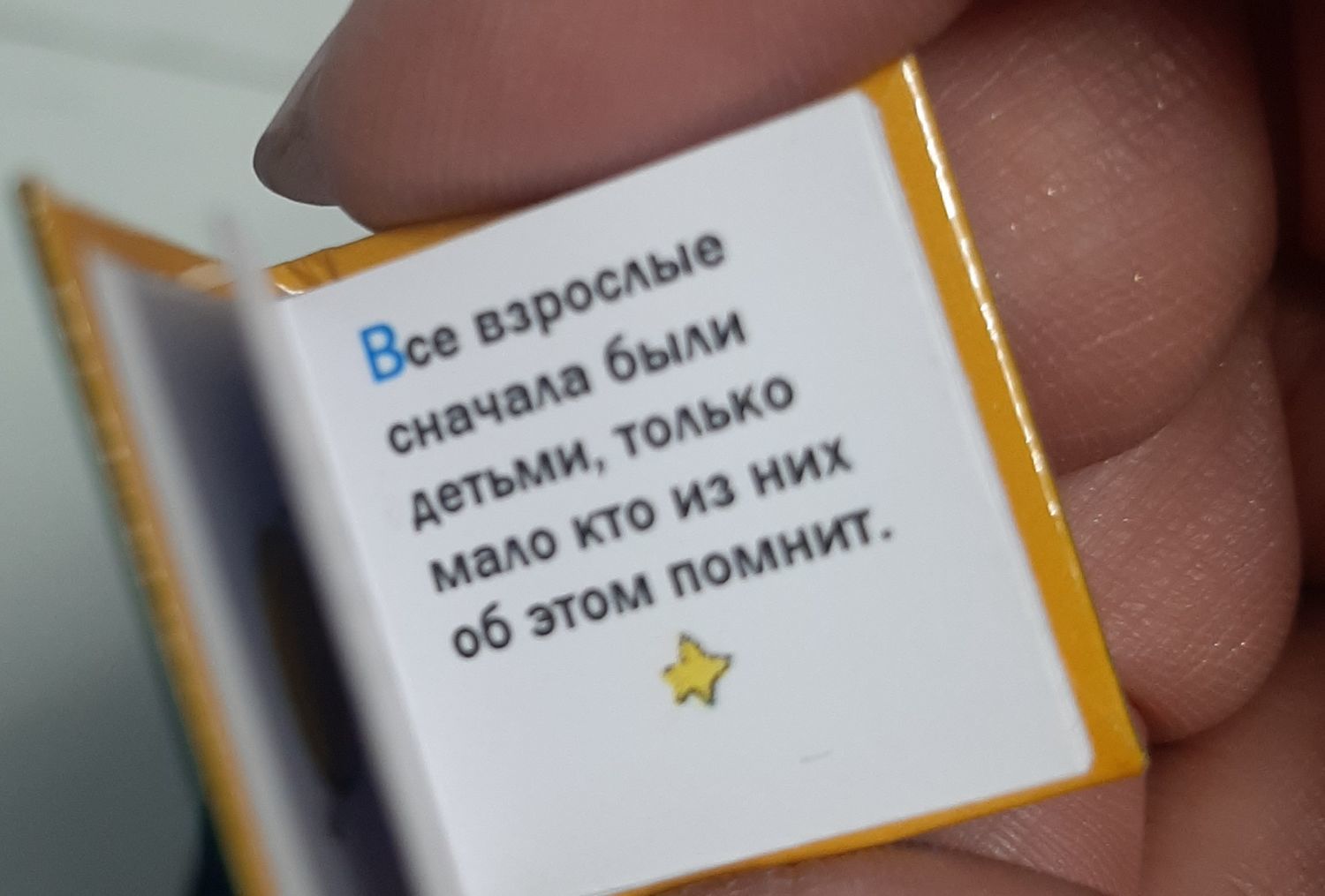 Фото №2 к отзыву покупателя Аверченкова Светлана о товаре Маленький Принц мини-книга