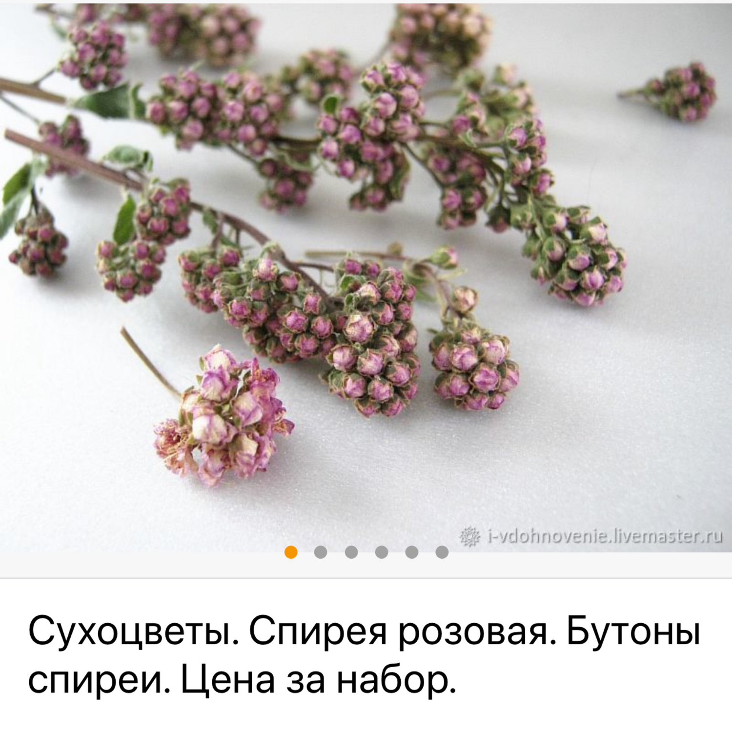 Фото №5 к отзыву покупателя Валерия Калмыкова о товаре Земляника натуральная ягодки и листочки. Набор 10 ягод + 10 листьев. и еще 3 товара