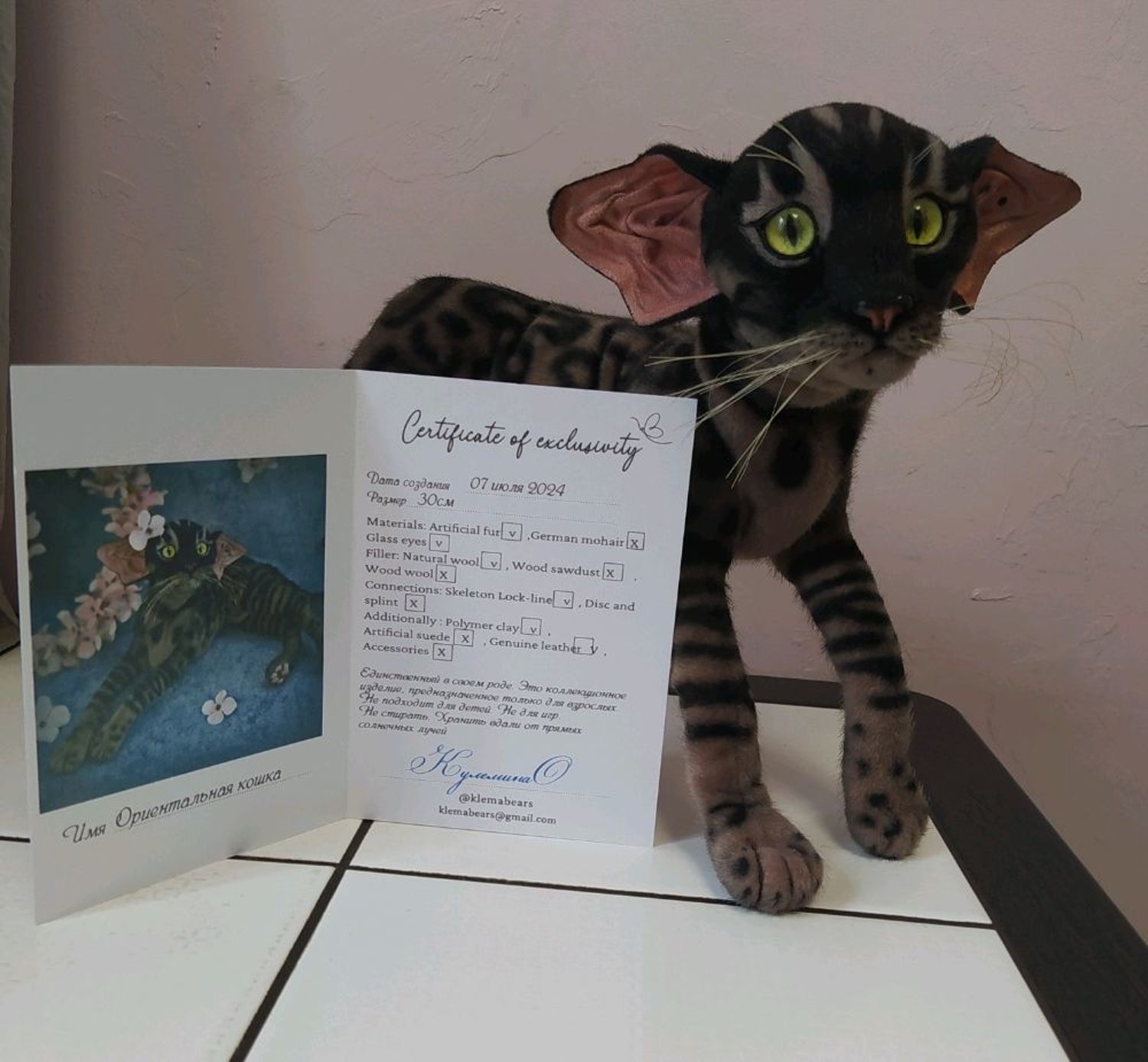 Photo №2 к отзыву покупателя Olesya о товаре Ориентальный кот Ночь