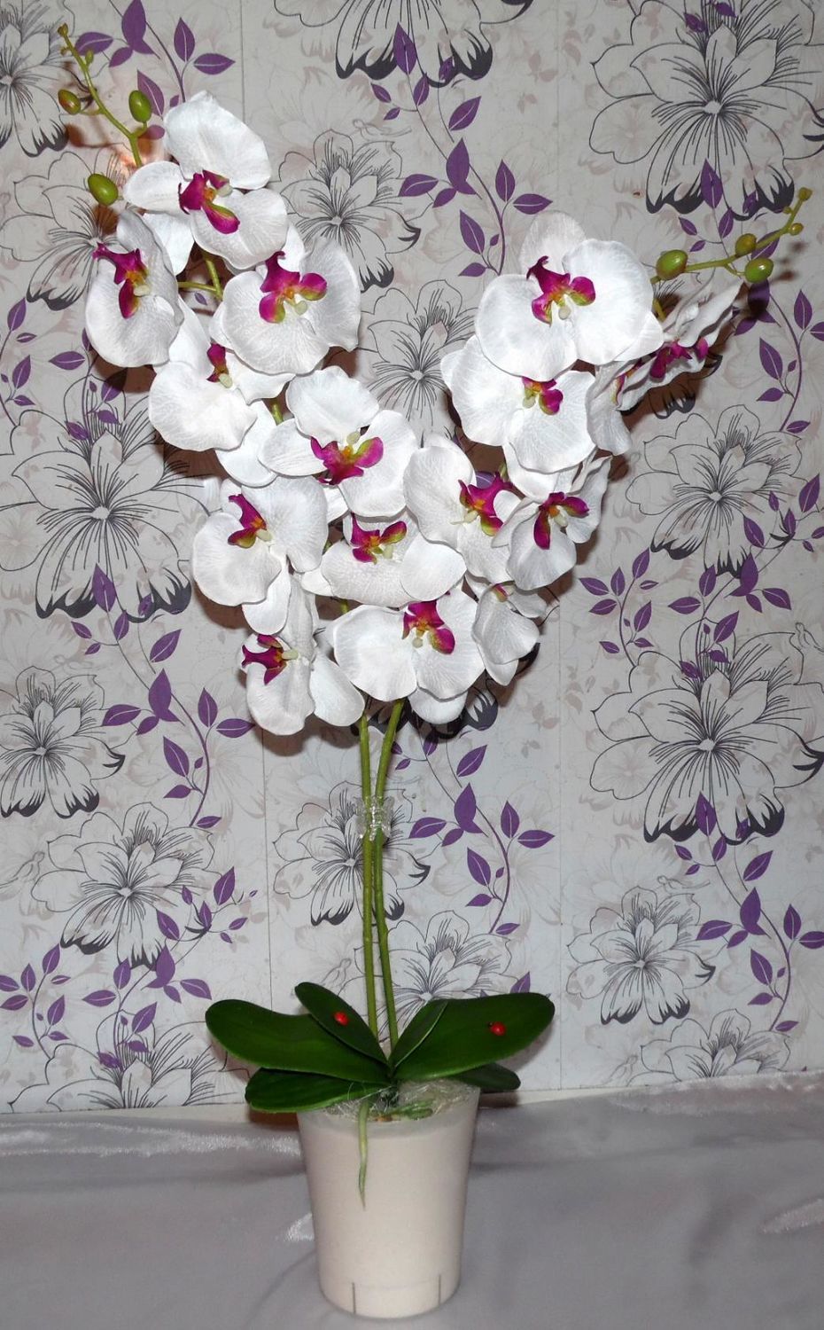 Фото №1 к отзыву покупателя ЛюбоФФ о товаре Интерьерные орхидеи