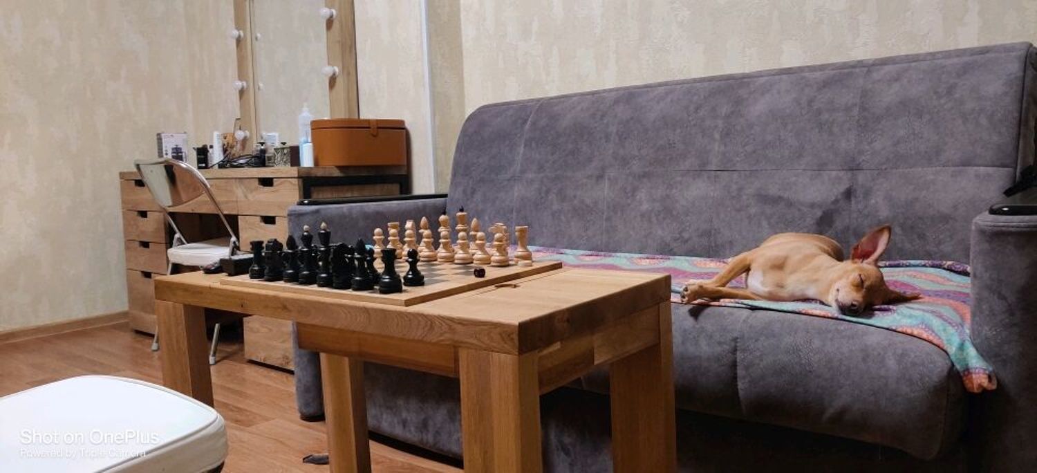 Фото №4 к отзыву покупателя Иван о товаре Столик для игры в нарды, шахматы, шашки