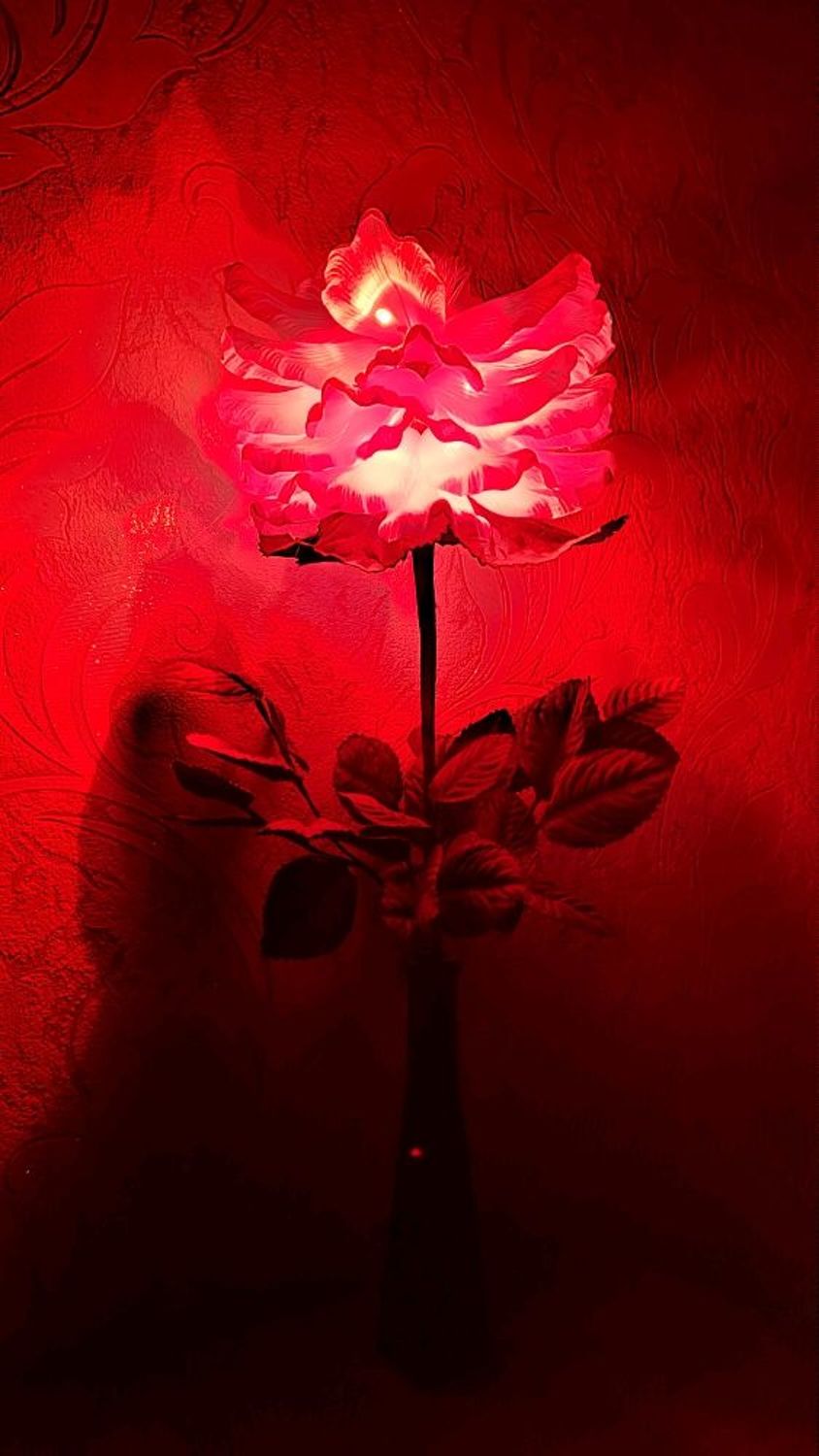Фото №3 к отзыву покупателя Лавринов Александр о товаре Ночник "Аленький цветочек" в красном цвете
