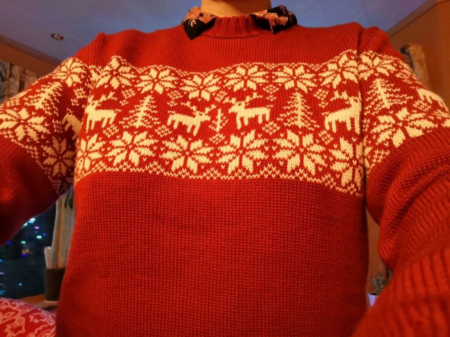 Фото №1 к отзыву покупателя ALLA SAPRONOVA о товаре Sweater with deer