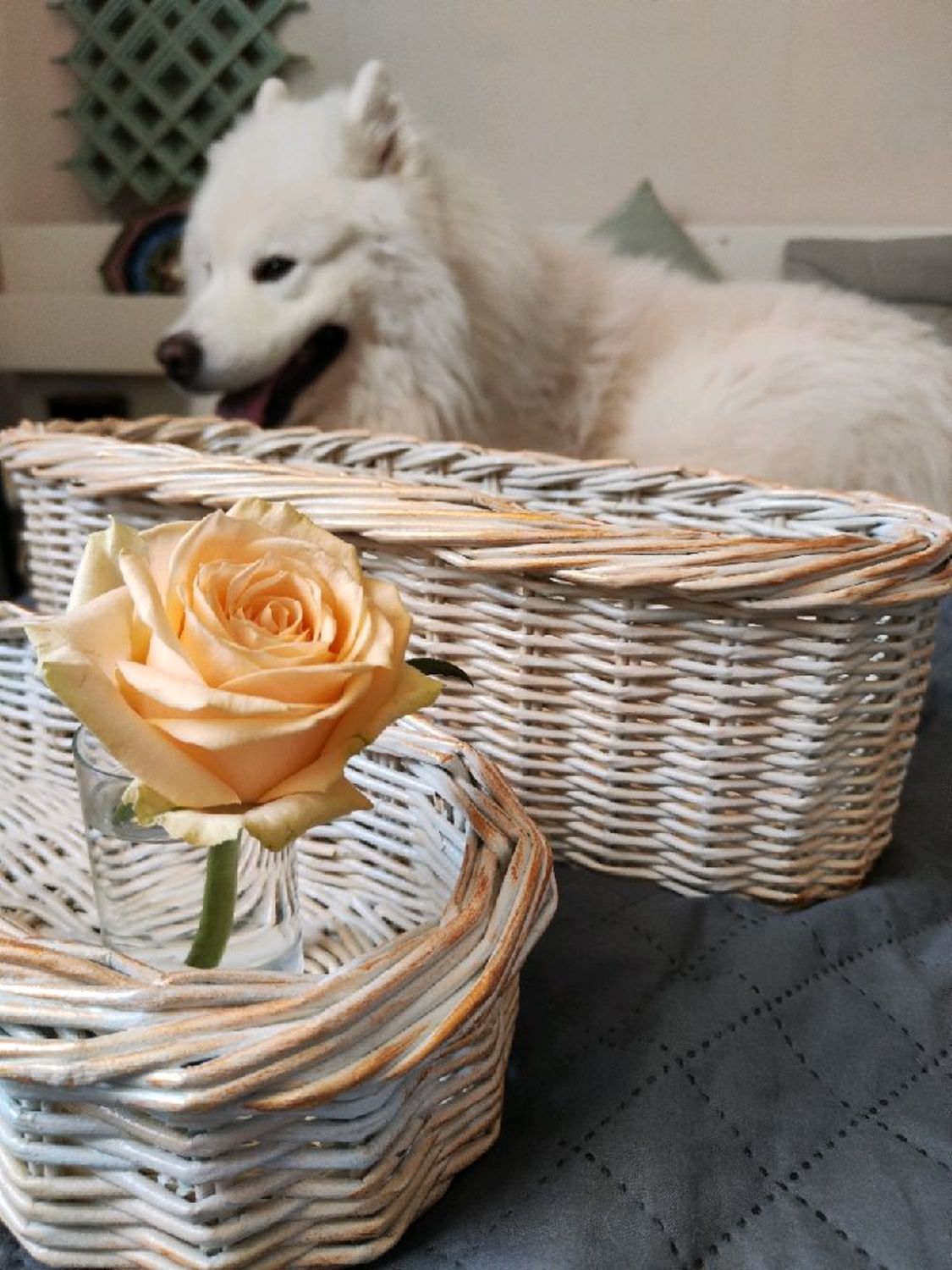 Photo №1 к отзыву покупателя ArigatouShop (Anna Ogurtsova) о товаре 2шт Корзины органайзеры в ванную комнату или в кухню