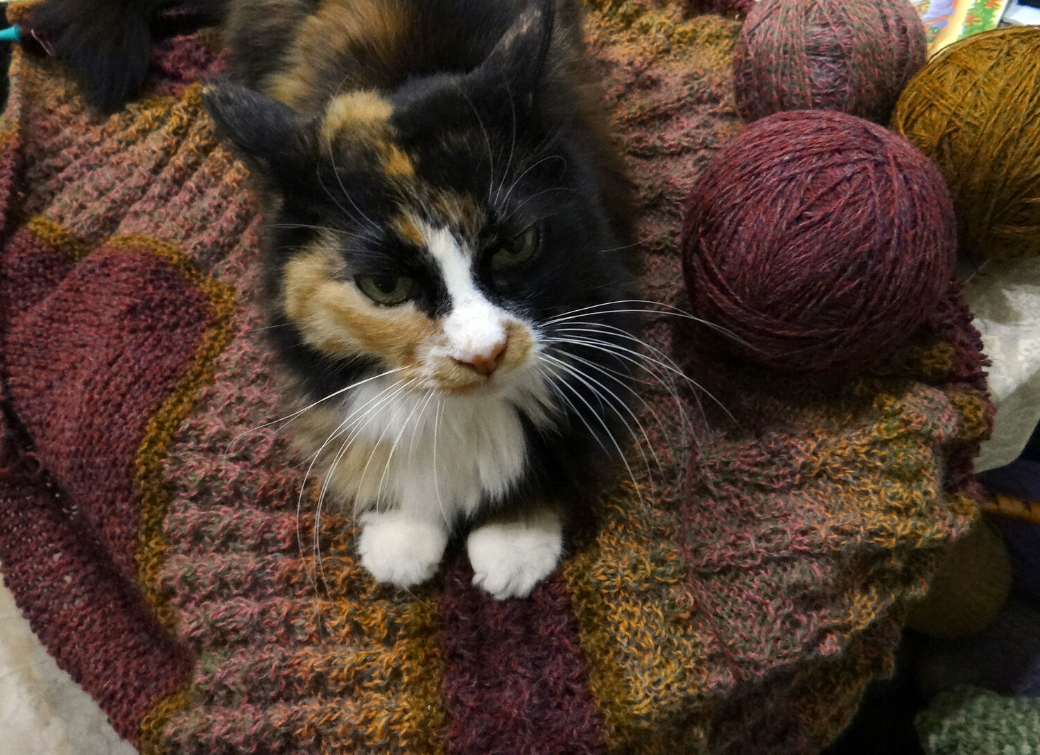 Фото №2 к отзыву покупателя Полина о товаре Набор натуральной пряжи wool&yarn и Кауни