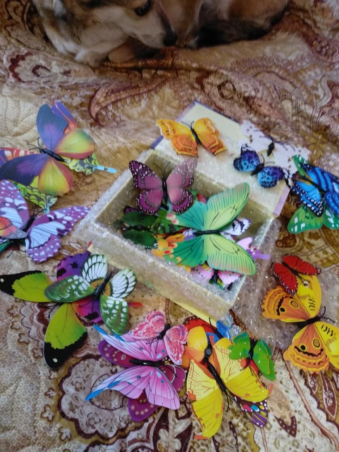 Photo №1 к отзыву покупателя Viktor Slobodnyuk о товаре Большой набор бабочек