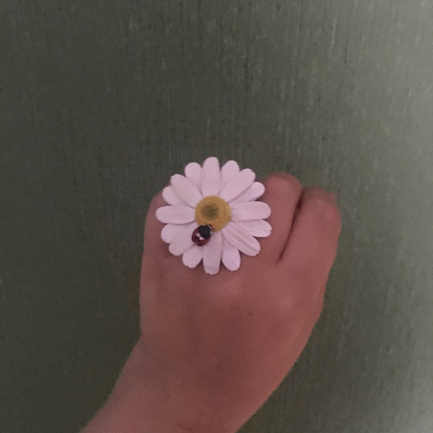 Фото №1 к отзыву покупателя marta1210 о товаре Ромашка с божьей коровкой кольцо Массивное кольцо с белым цветком
