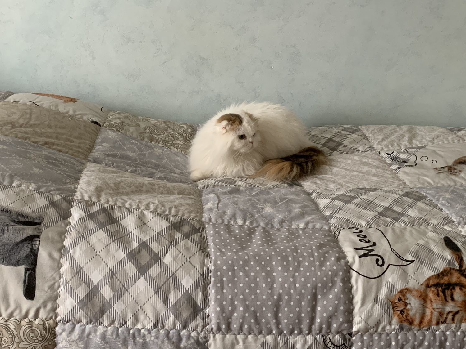 Фото №2 к отзыву покупателя Людмила о товаре Без кота жизнь не та
