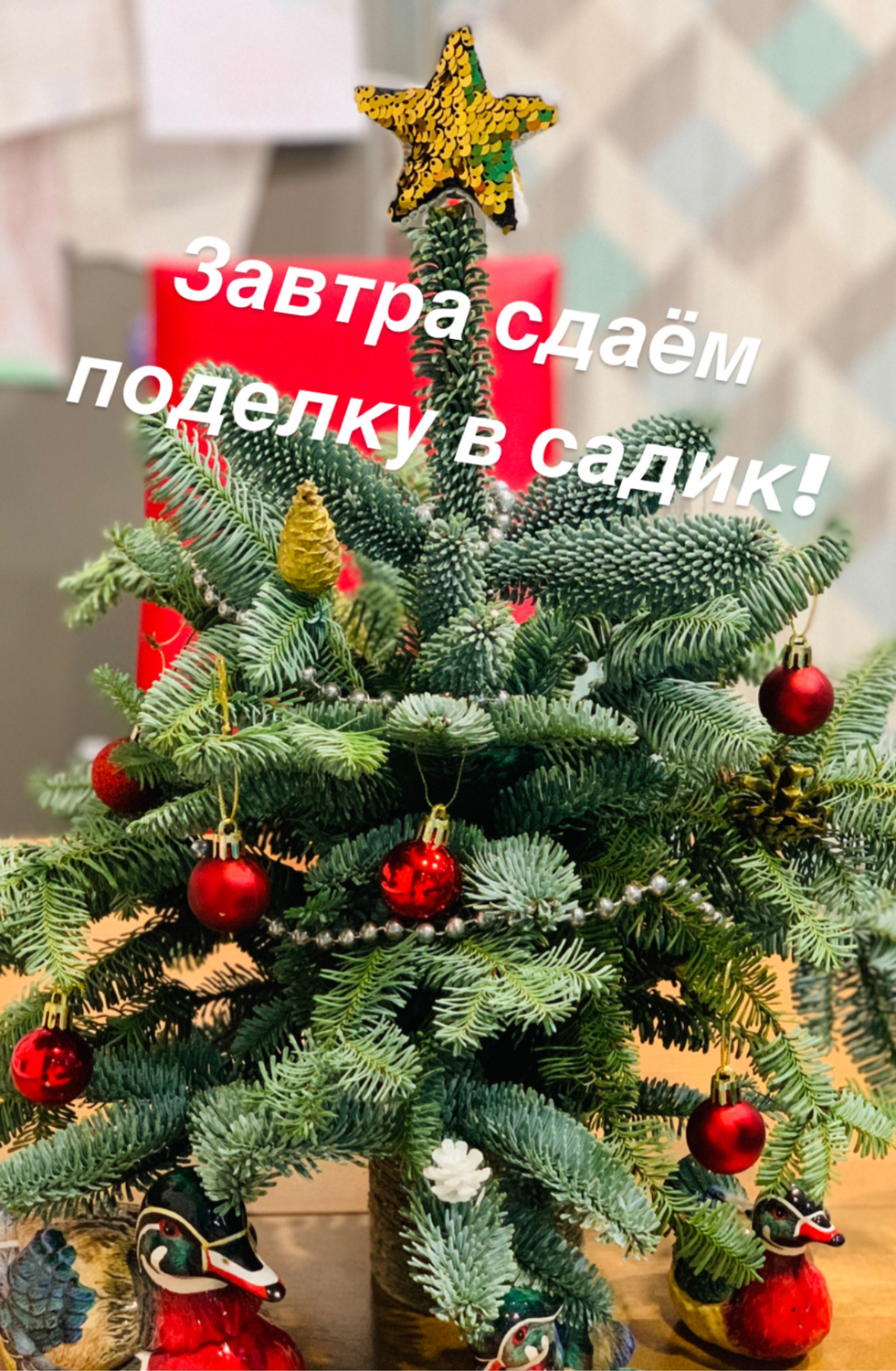 Фото №1 к отзыву покупателя ирина о товаре Хвоя живая Нобилис 4-5кг.Ель Голубая-серая Пачка 7-9 веток. 60-80см и еще 2 товара