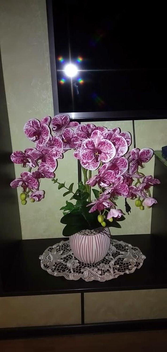 Фото №1 к отзыву покупателя Ирина о товаре Орхидея фаленопсис, интерьерная композиция "Кристи"