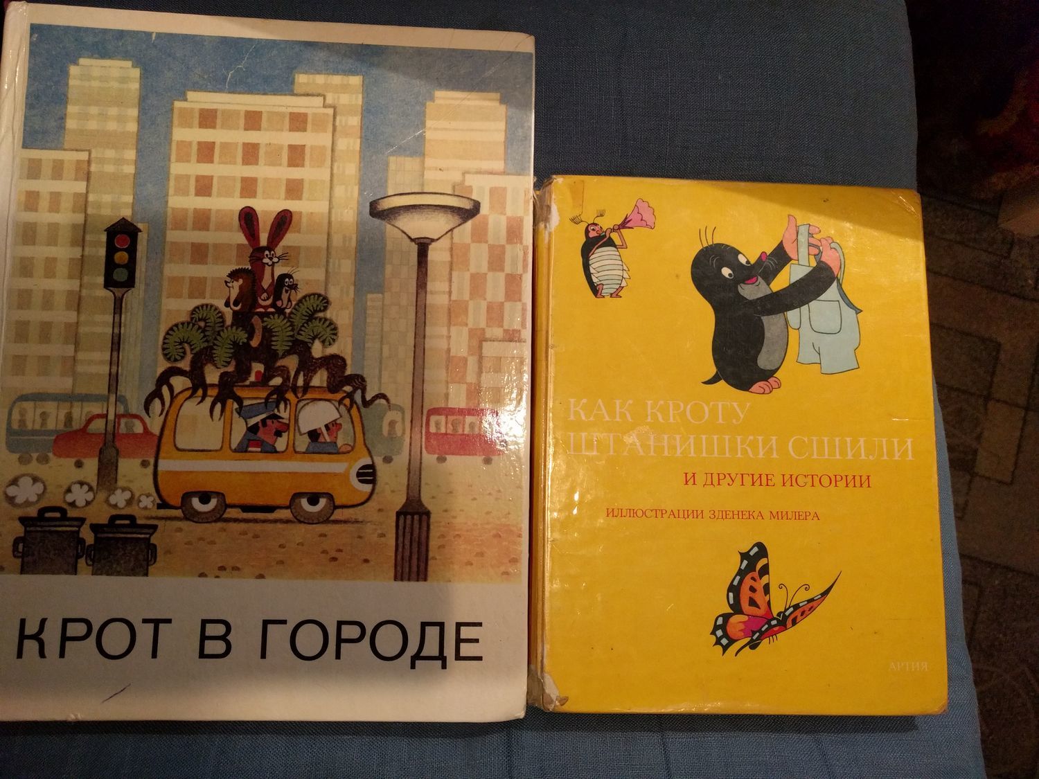 Фото №1 к отзыву покупателя Бурмакина Ирина о товаре Винтаж: Книга Крот в городе. 1993 г.