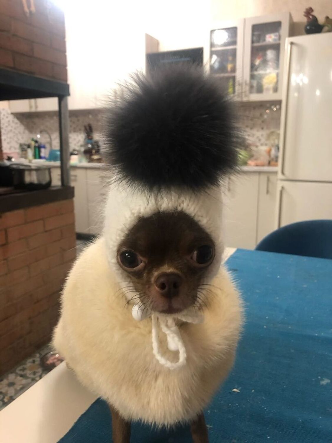 Photo №1 к отзыву покупателя Svetlana  Sokova о товаре Пуховая шапочка для маленькой собачки