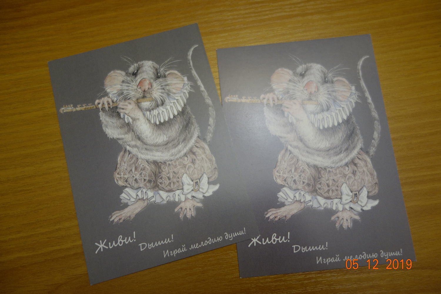 Фото №1 к отзыву покупателя Ивонна Хмелевская о товаре Год Крысы 2020:  Авторская открытка .