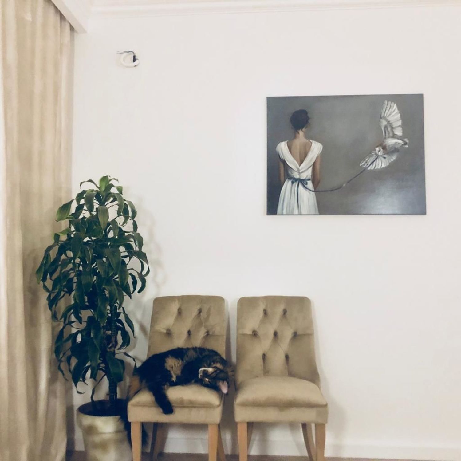 Фото №2 к отзыву покупателя Юлия о товаре Стул в каретной стяжке