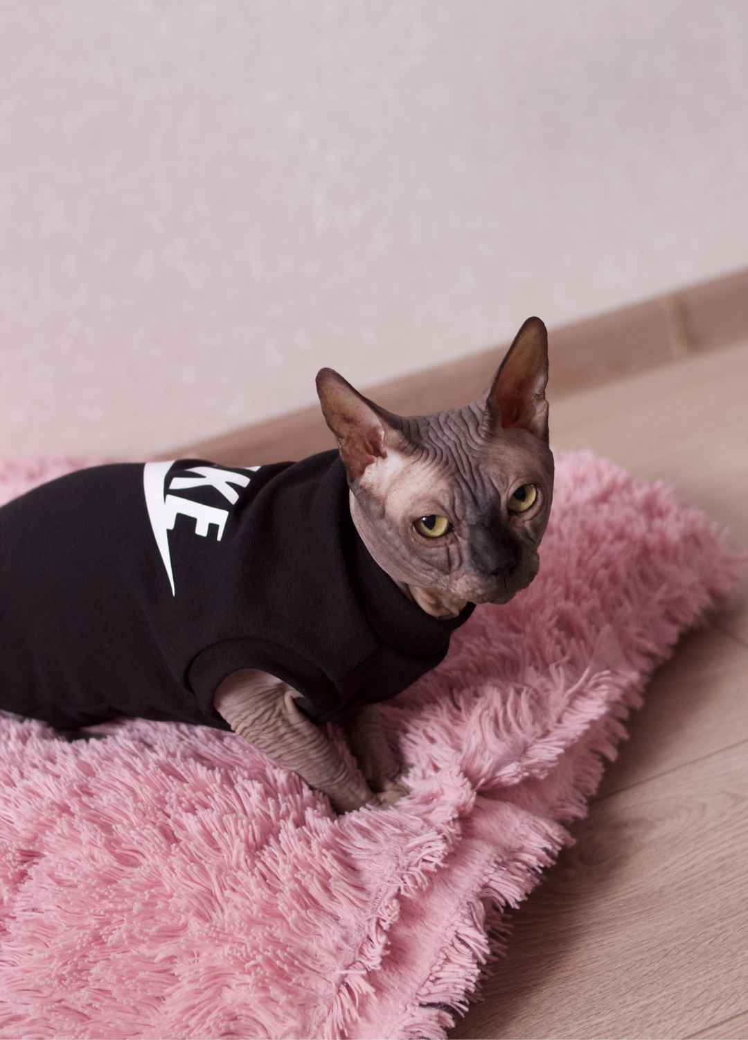 Photo №4 к отзыву покупателя noxthebrand о товаре Одежда для кошек "майка с наклейкой черная" and 3 more items