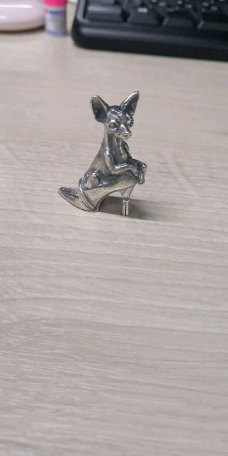 Photo №1 к отзыву покупателя Evgeniya Tyupanova о товаре Чихуахуа в туфле серебряная фигурка