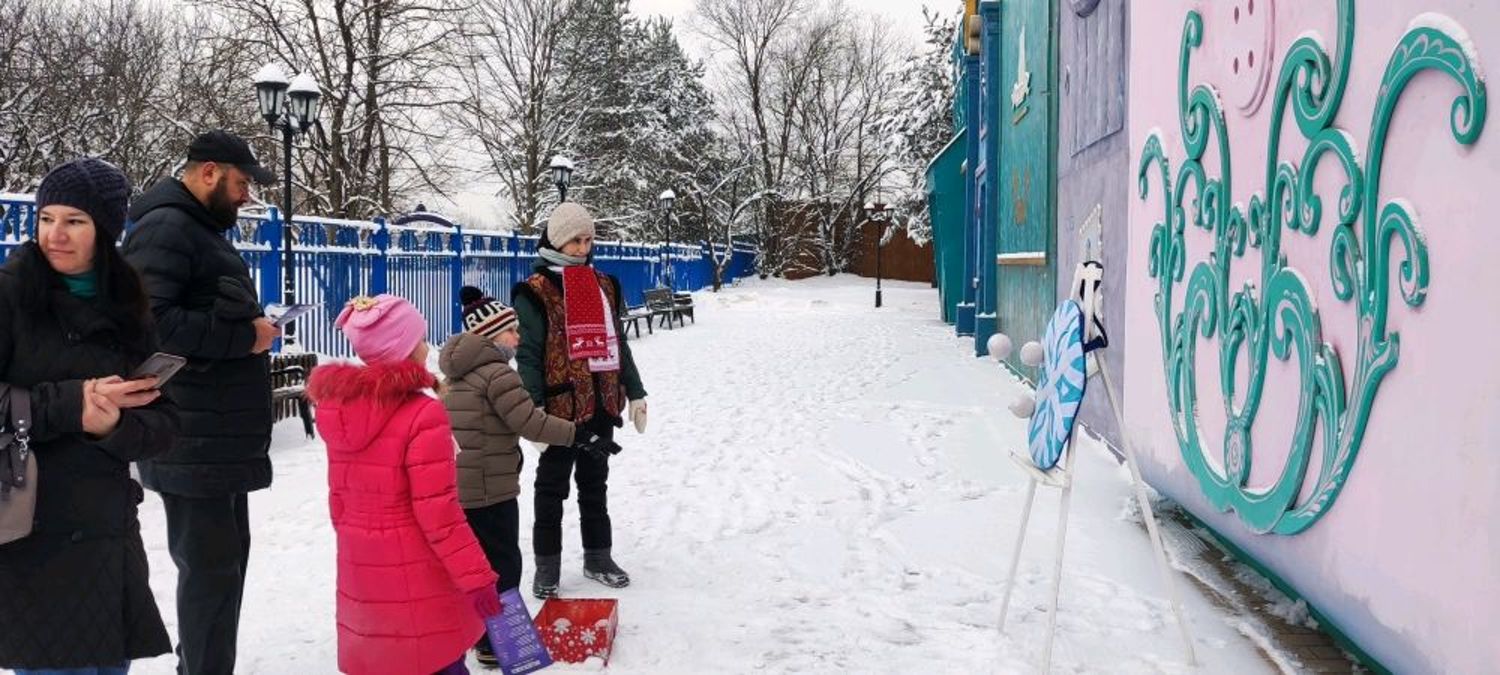 Photo №1 к отзыву покупателя Olga о товаре Дартс снежинка