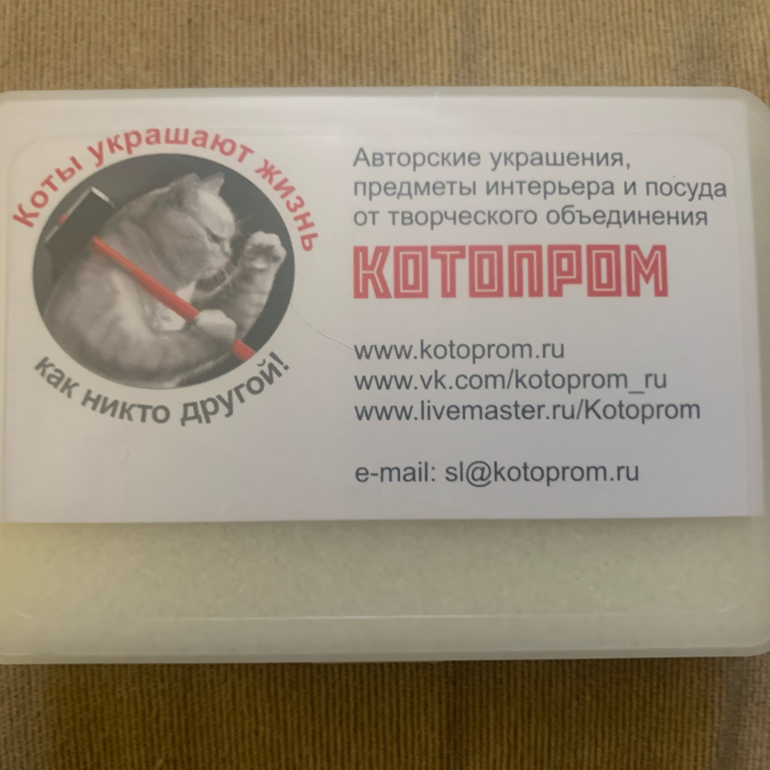 Фото №1 к отзыву покупателя Роман о товаре Всегда Котов - Брошь