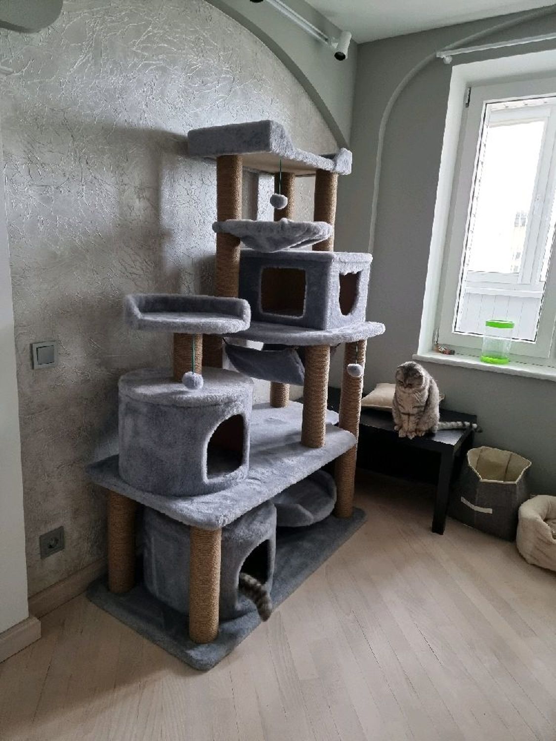 Фото №2 к отзыву покупателя Юлия о товаре Большой номер 22 комплекс для крупных кошек
