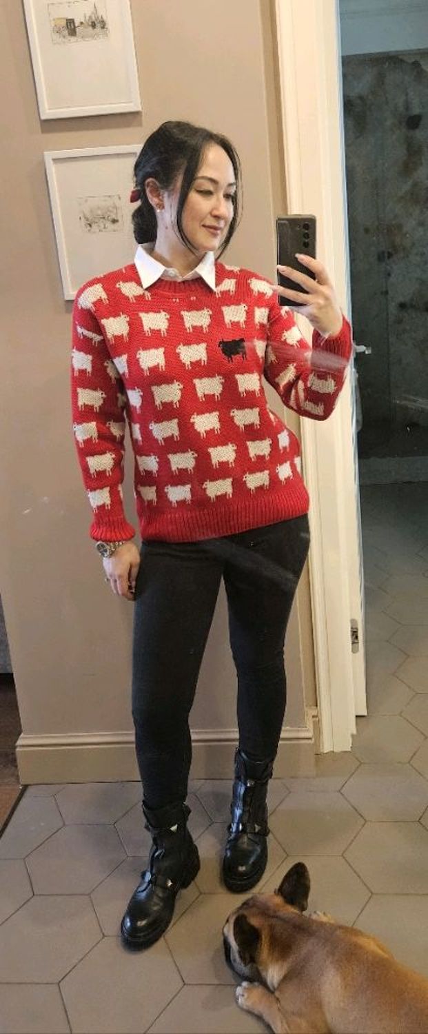 Фото №1 к отзыву покупателя Лика о товаре Джемперы: Вязаный пуловер   "Паршивая овца"