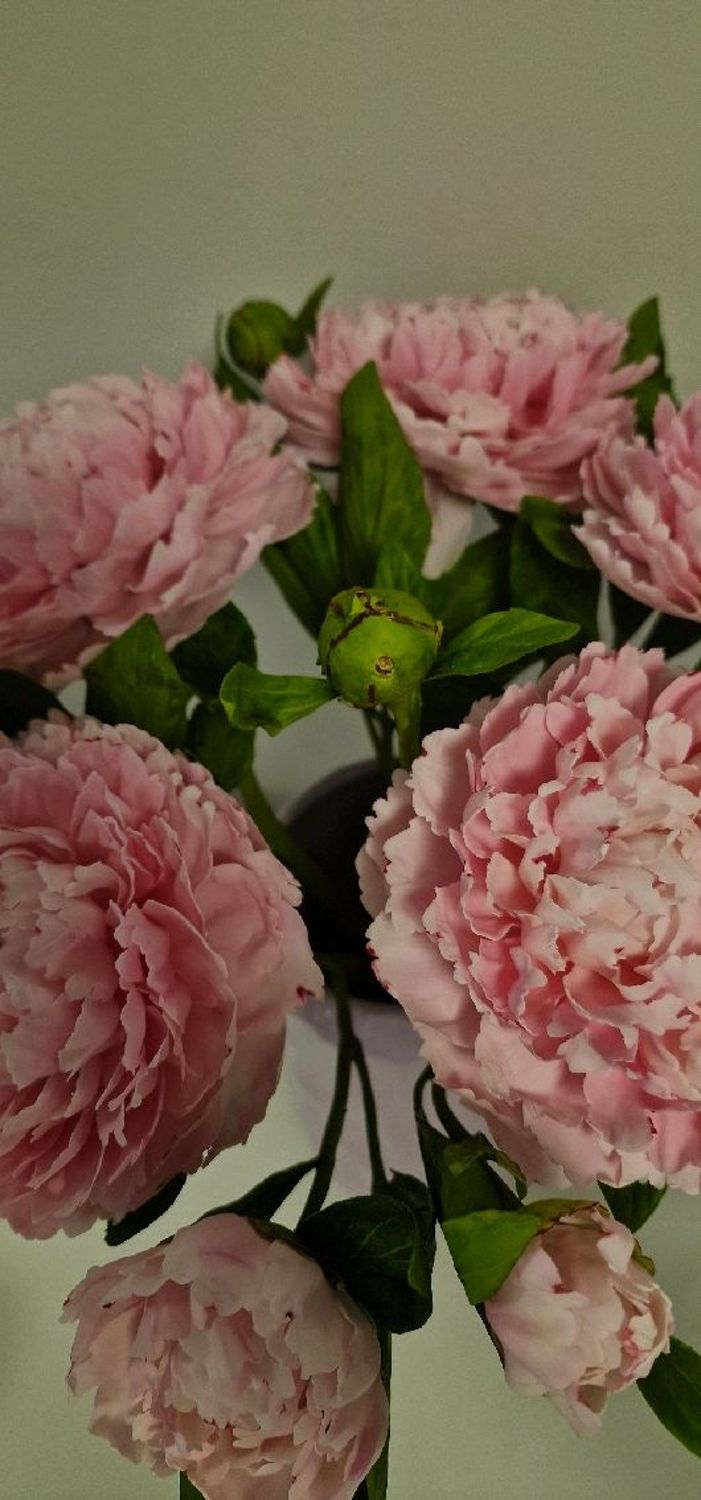 Photo №3 к отзыву покупателя Katerina о товаре Цветы: Букет розовых пионов из холодного фарфора. and 1 more item