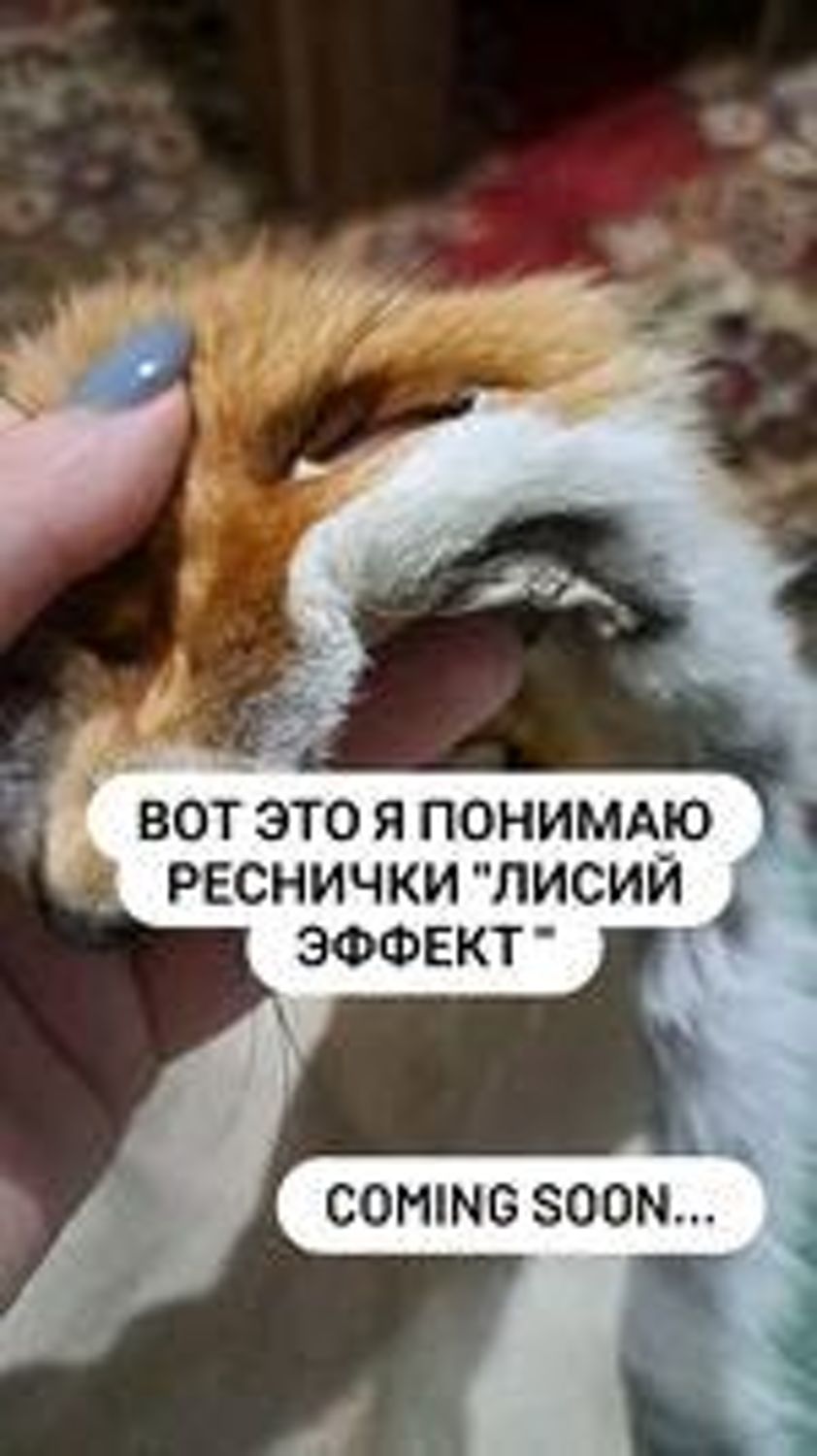 Фото №1 к отзыву покупателя marusyabacherikova о товаре Когти лисы и еще 3 товара