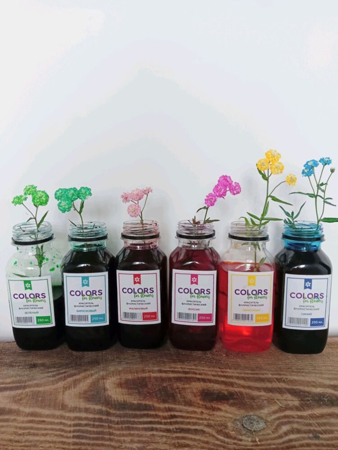 Photo №1 к отзыву покупателя Strastotsvet. Suhotsvety i travy. о товаре Краска для цветов "Colors for flowers" 0,25 л Лимонный and 5 more items
