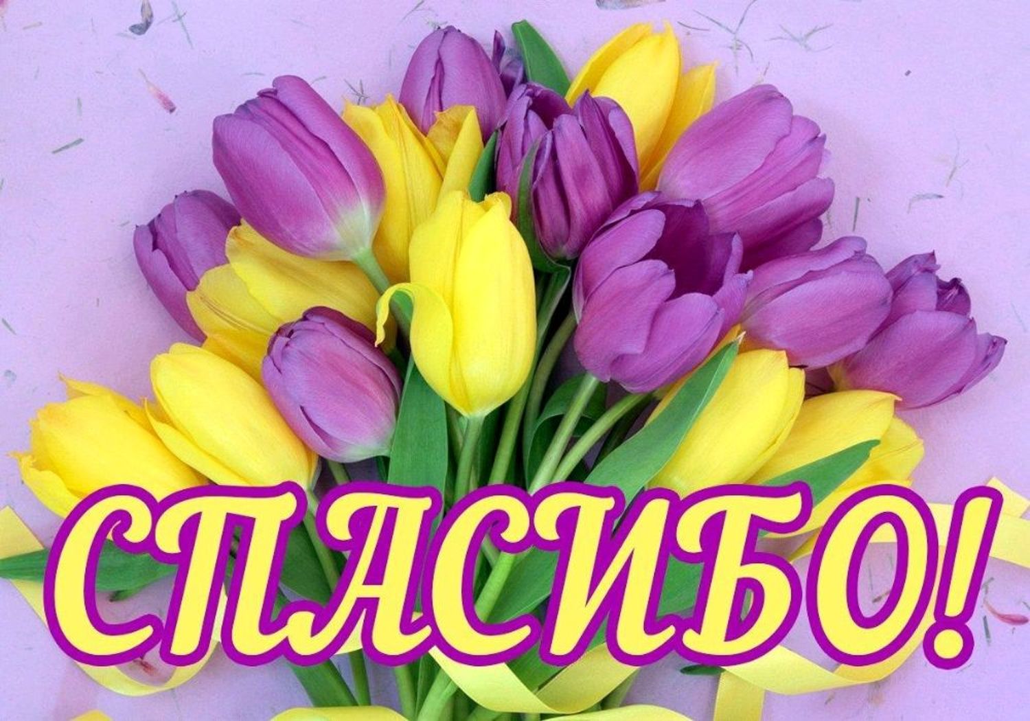 Фото №3 к отзыву покупателя Vera Kö о товаре Брошь-Ящерица