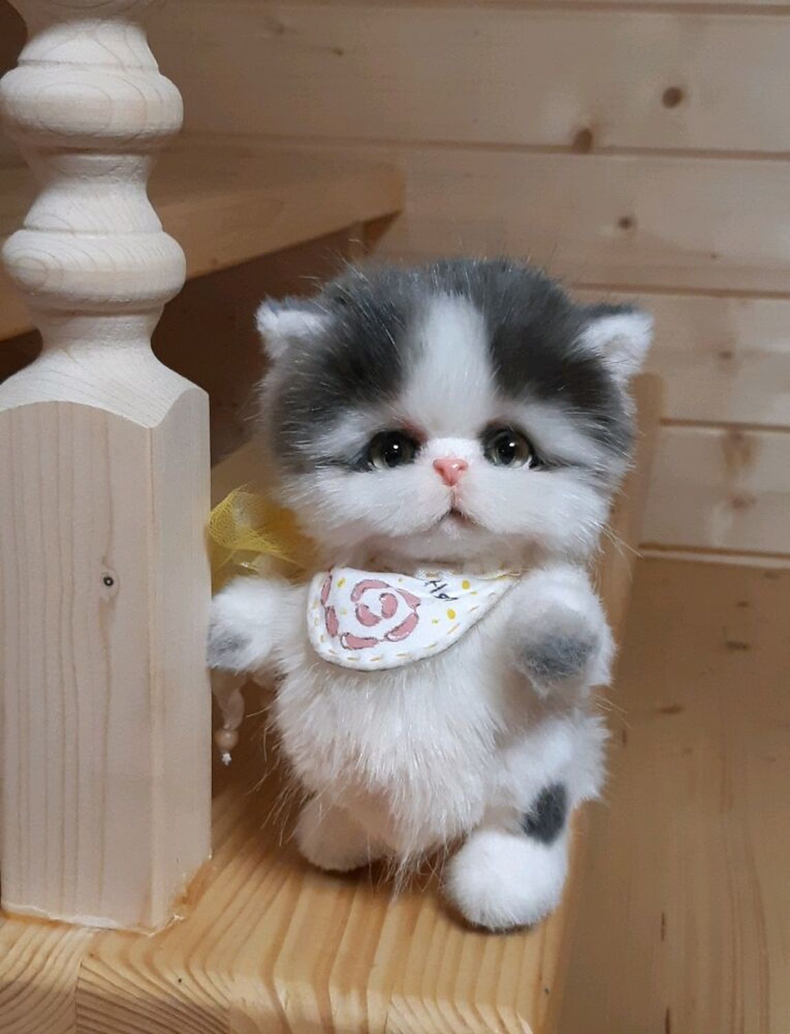 Photo №2 к отзыву покупателя Ksyusha о товаре Котенок