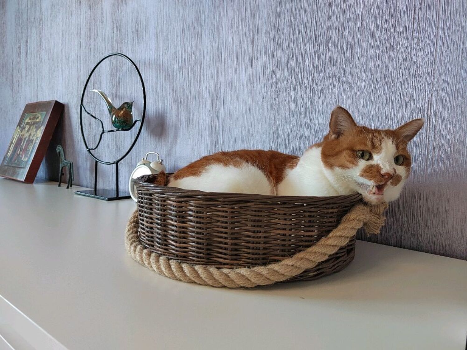 Фото №1 к отзыву покупателя Олеся о товаре Корзина плетеная круглая лежанка для кота или корзина для фотосессий
