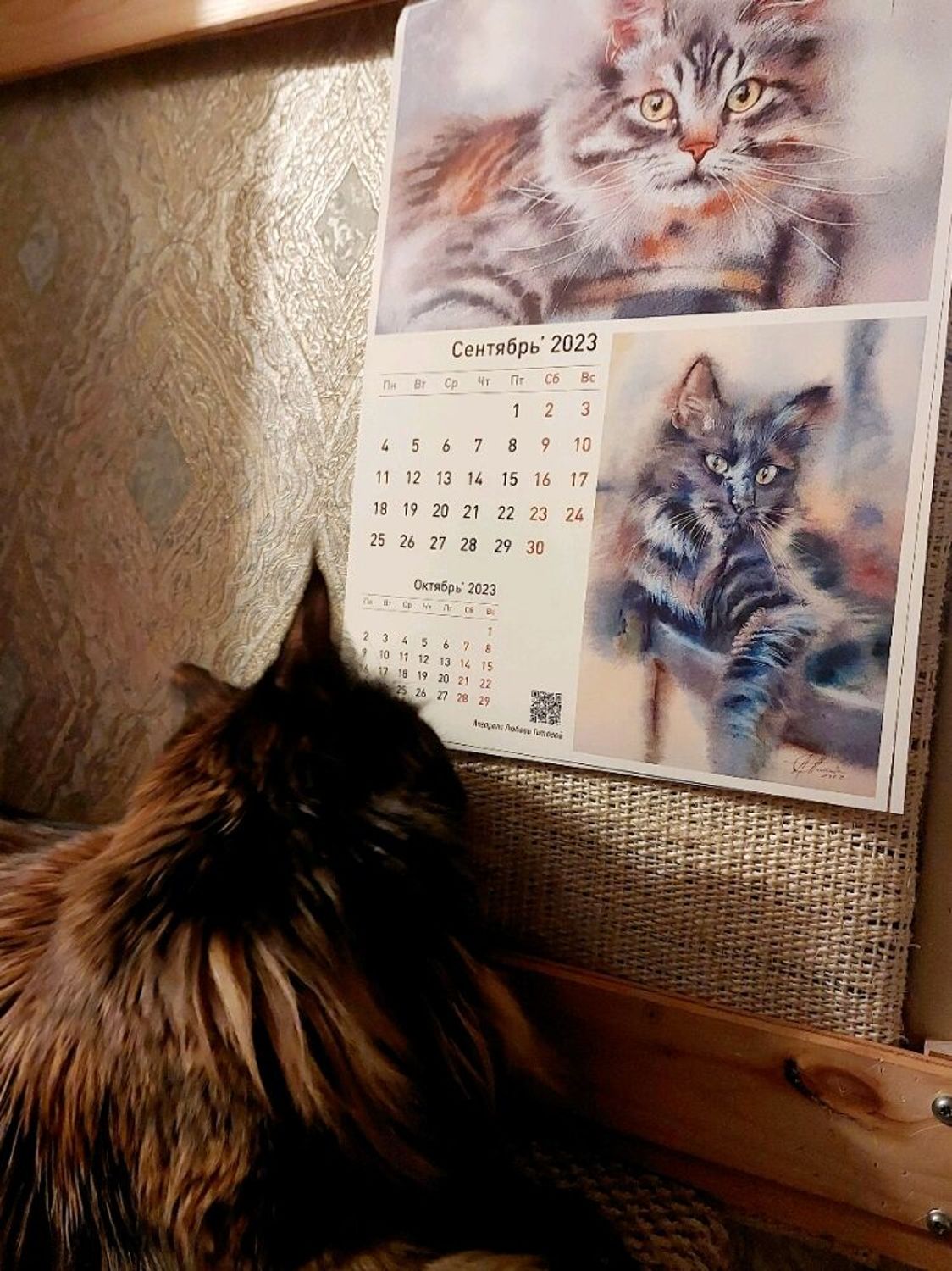 Фото №1 к отзыву покупателя Мария о товаре Авторский календарь с животными на 2023 год (настенный)