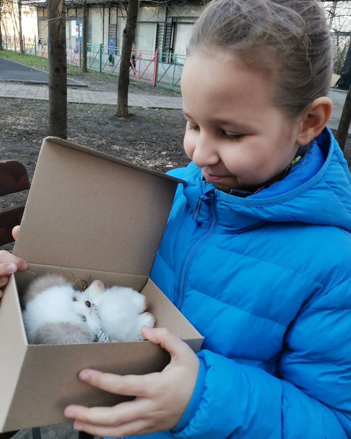 Photo №2 к отзыву покупателя Anna Lomanova о товаре Щенок тедди,15 см