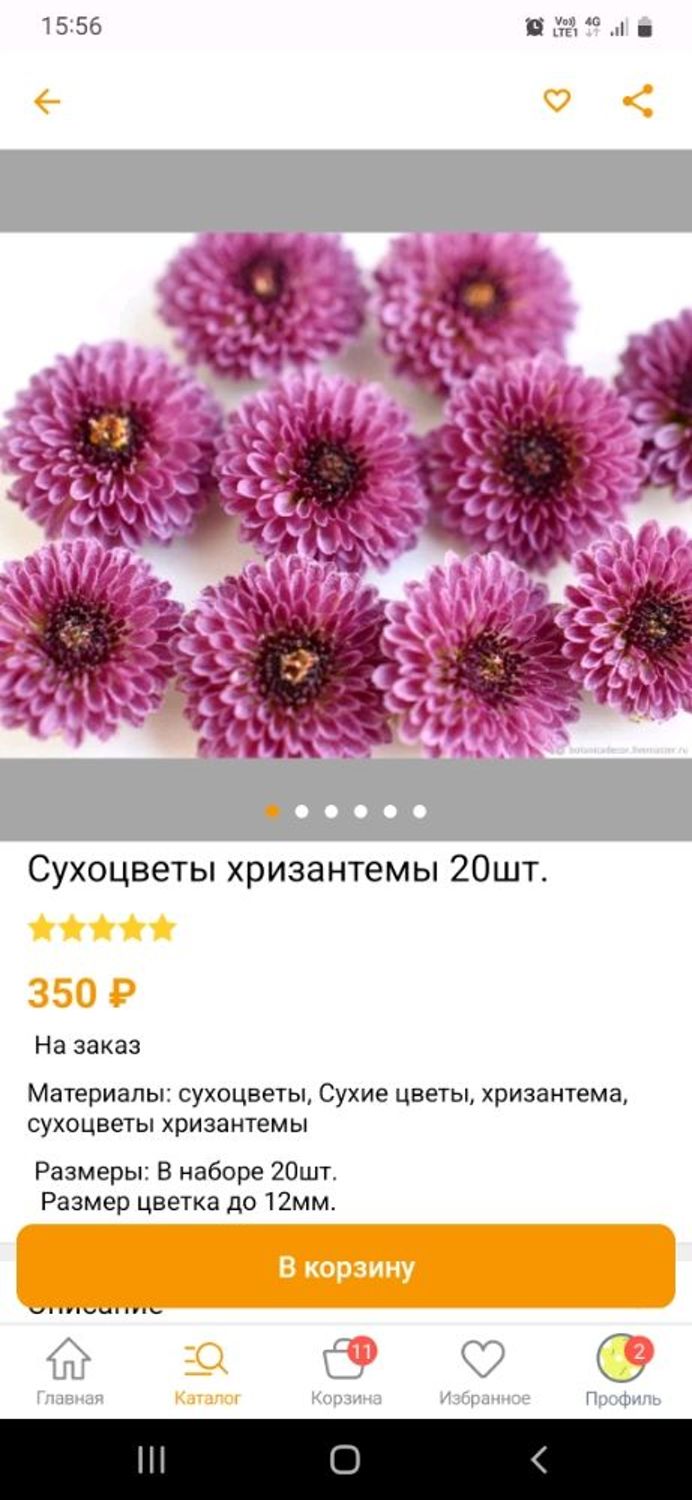 Фото №2 к отзыву покупателя Елена о товаре Сухоцветы хризантемы 20шт. и еще 2 товара