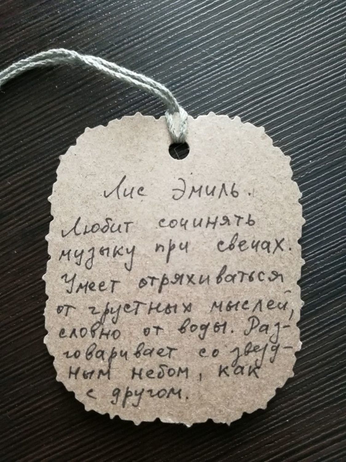 Фото №2 к отзыву покупателя Несси о товаре Лис Эмиль